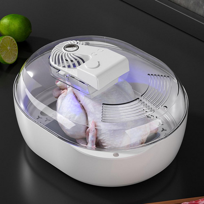 Fast 6-in-1 Food Defroster for Home Use
