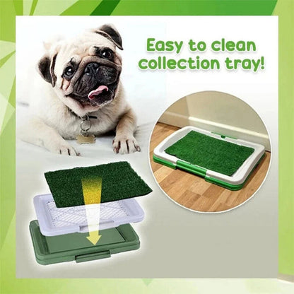 Easy Clean Pet Litter Box with Artificial Turf