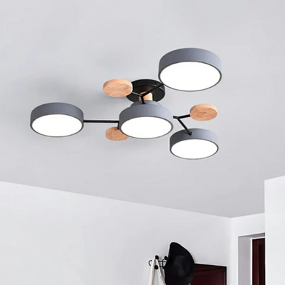 Contemporary Circular LED Ceiling Light