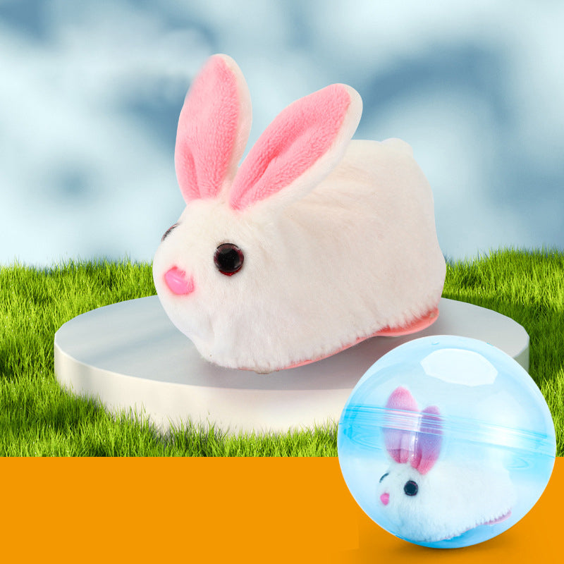 Fun Hamster Exercise Ball Toy