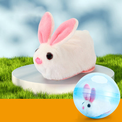 Fun Hamster Exercise Ball Toy