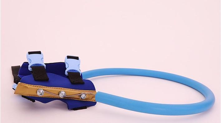 Comfortable Assist Harness for Blind Dog Support