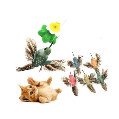 Fun Battery Powered Kitty Toy - Halri