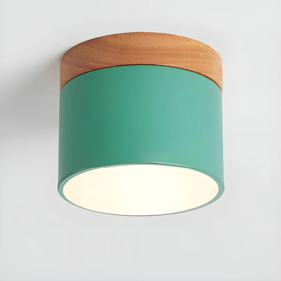 Classic Retro LED Ceiling Light