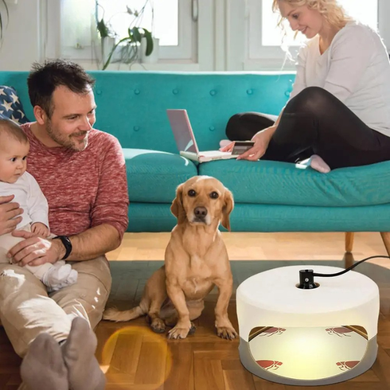 Effective Home Bed Bug Catcher