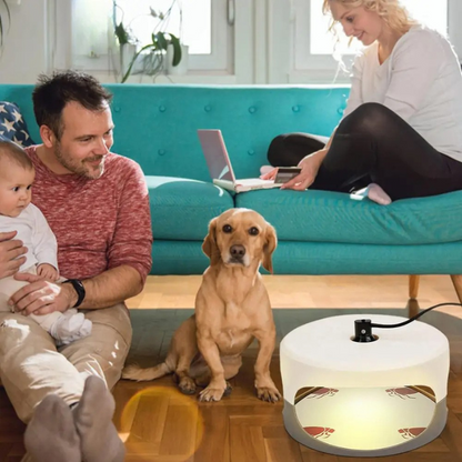 Effective Home Bed Bug Catcher