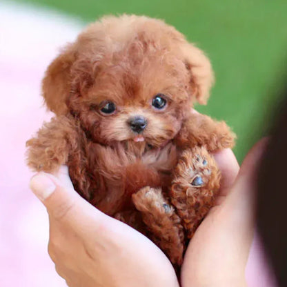 Snuggle Puppy | Interactive Soft Toy with Lifelike Actions - Halri