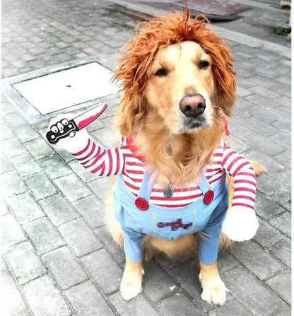 Cute Funny Pet Costume