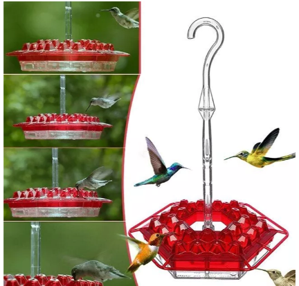 Easy Fill Outdoor Bird Feeder with Ant Block