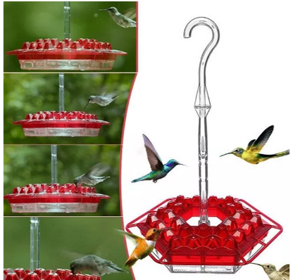 Easy Fill Outdoor Bird Feeder with Ant Block