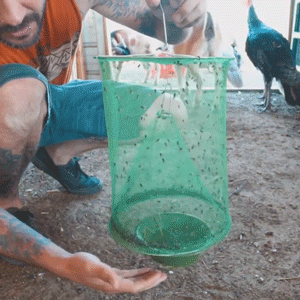 Natural Outdoor Fly Catcher | Safe, Chemical-Free & Reusable Trap