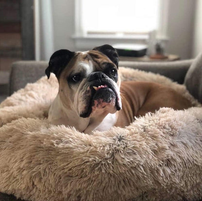 Comfy Supportive Dog Donut Bed