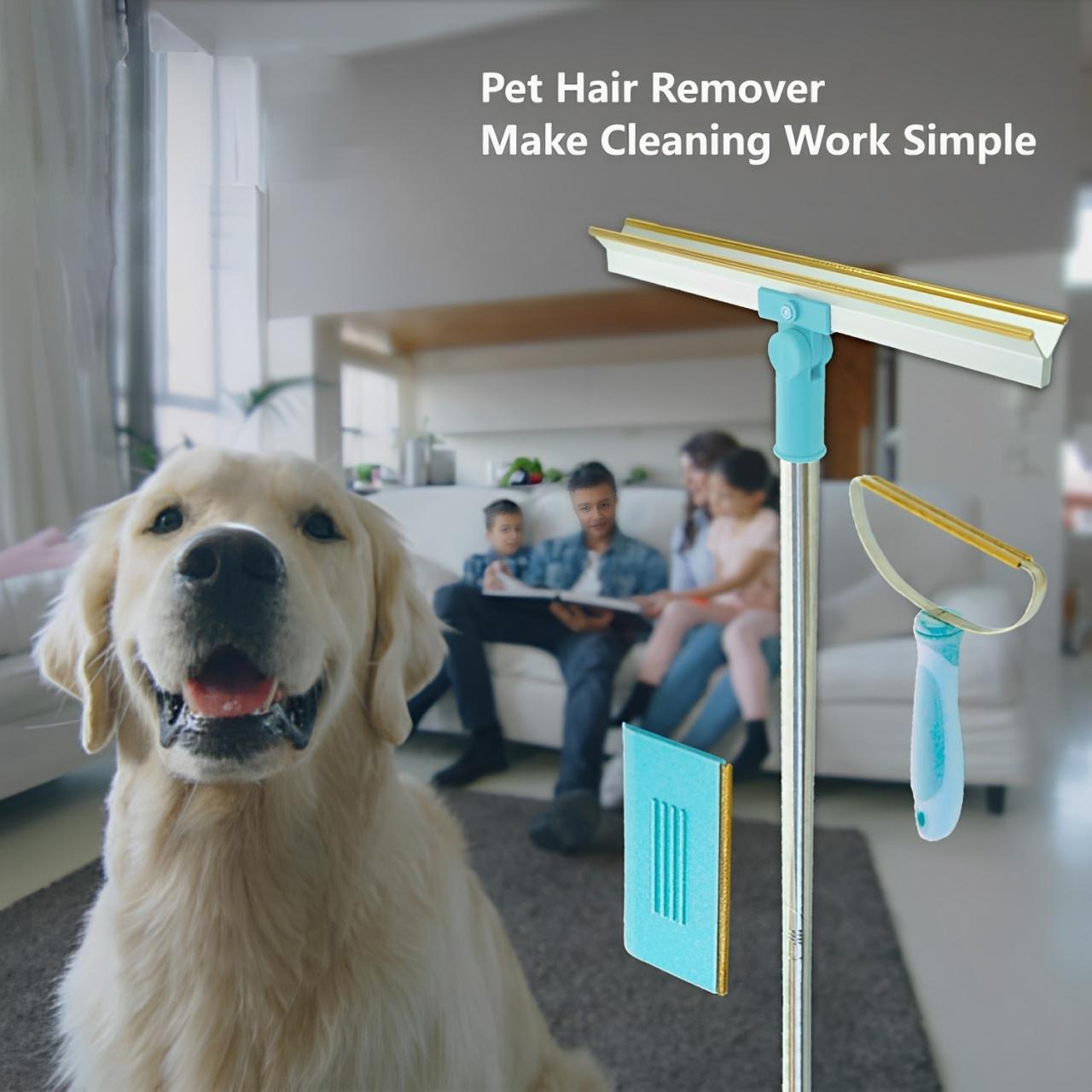 Fur Removal Cleaning Kit