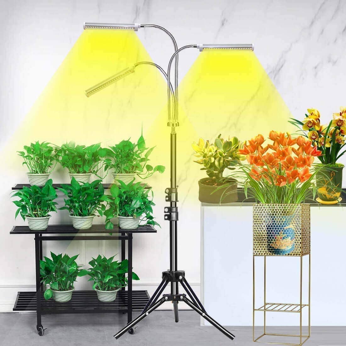 Tall LED Triple Head Grow Light for Indoor Plants - Halri