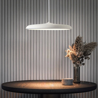 Simple Elegant LED Hanging Light Fixture