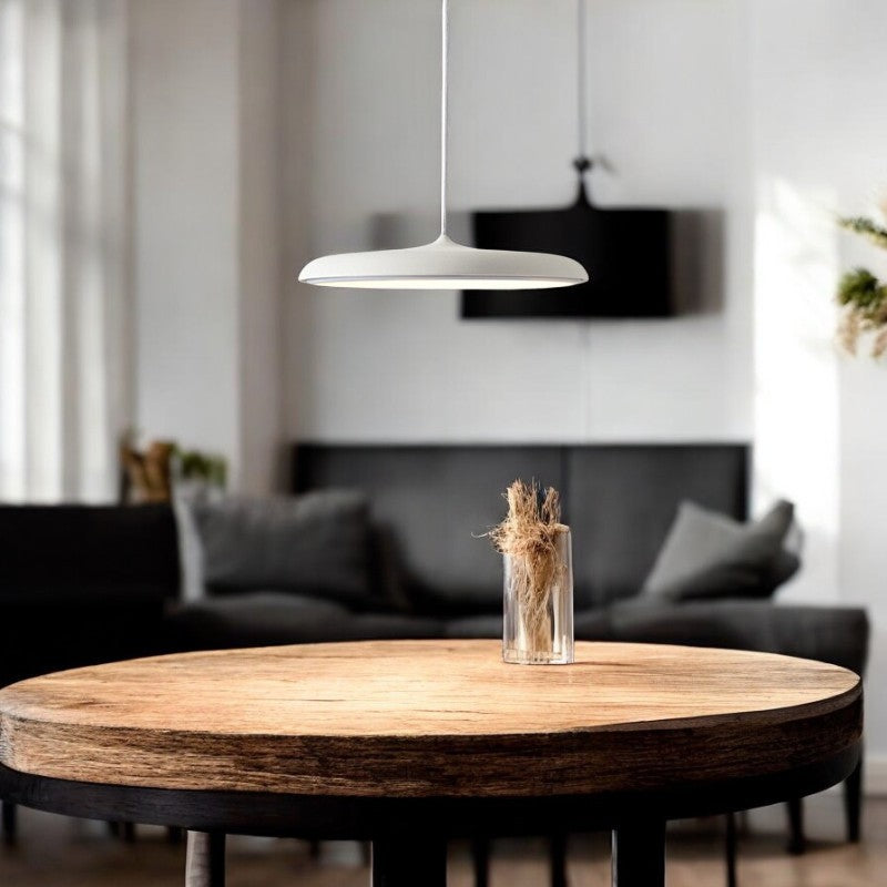 Simple Elegant LED Hanging Light Fixture - Halri