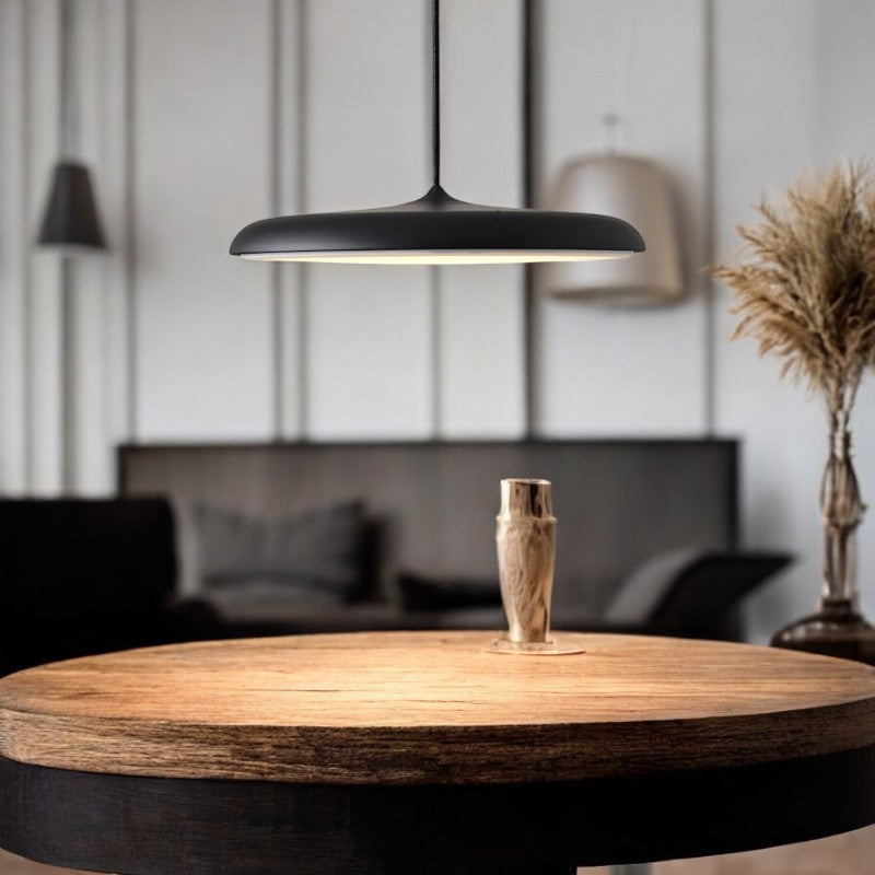 Simple Elegant LED Hanging Light Fixture