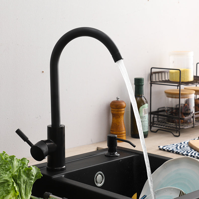 Sleek Single Handle Kitchen Faucet with Hose in Black