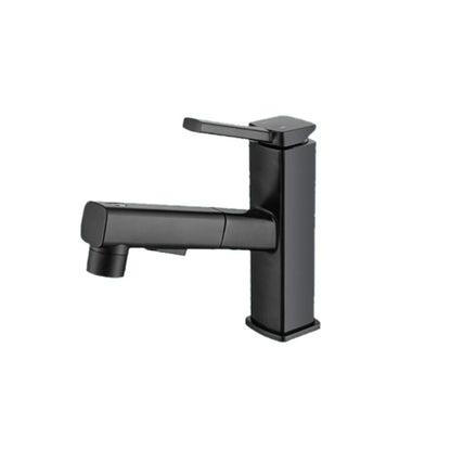 Single Handle Pull-Out Kitchen Sink Faucet with Rotating Spout - Halri