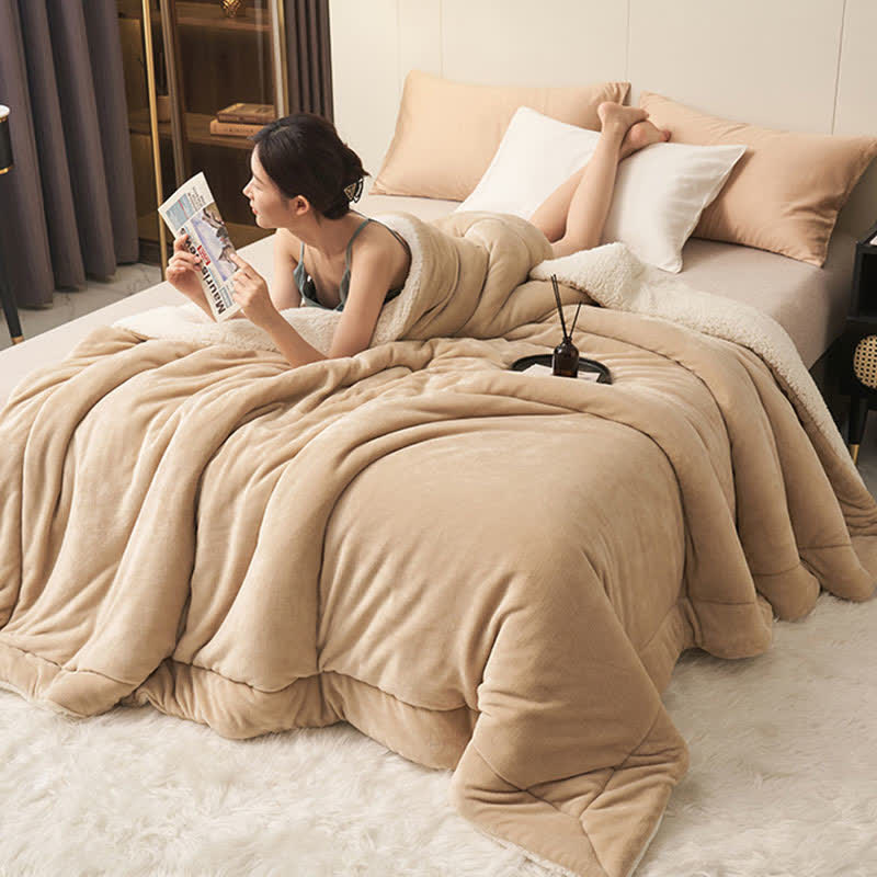 Plush Reversible Shaggy Area Rug