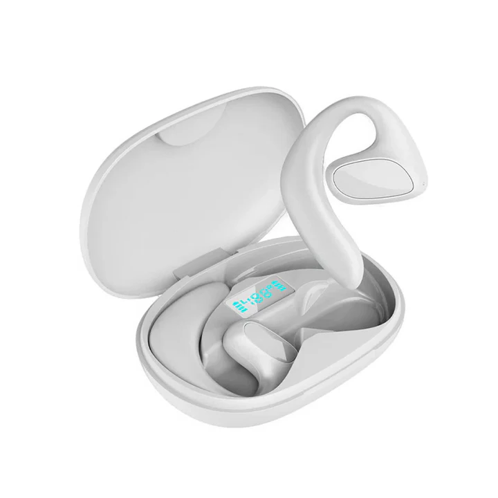 Portable Language Translator Earbuds