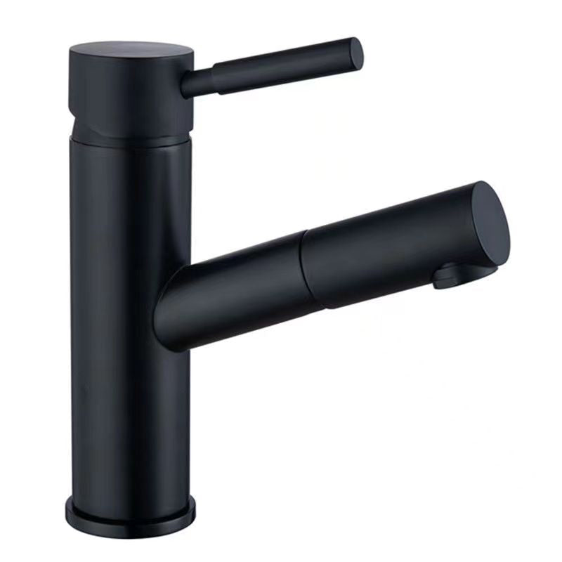 Modern Single Handle Kitchen Faucet with Rotating Spout