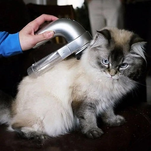 Pet Hair Removal Grooming Brush Tool for Cats Dogs