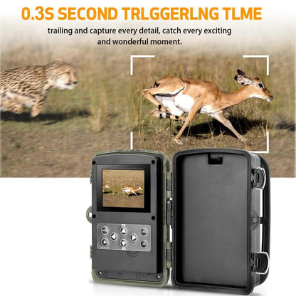 High Definition Motion Sensor Camera