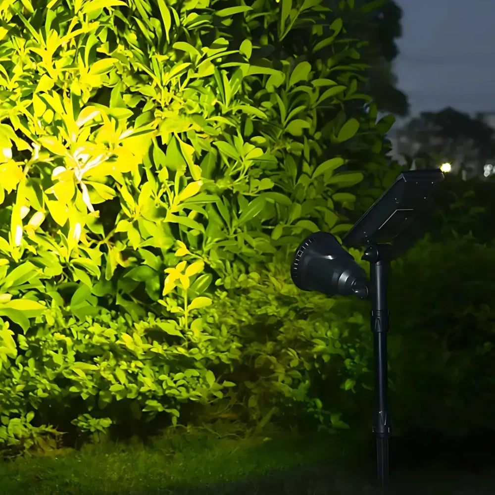 Colorful Outdoor Solar Powered LED Garden Light