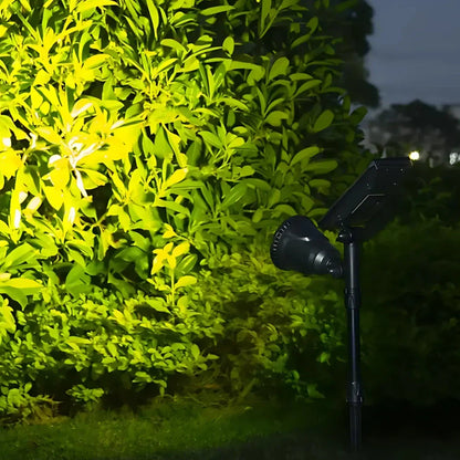 Colorful Outdoor Solar Powered LED Garden Light