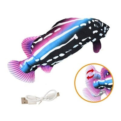 Fun Feather Teaser Toy