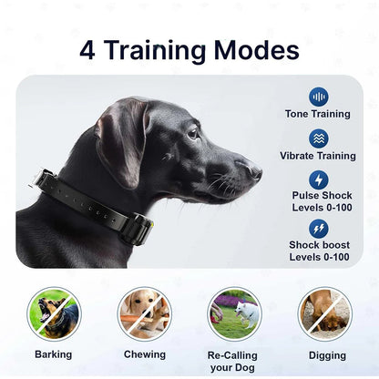 Long Range Remote Training Collar for Large Dogs