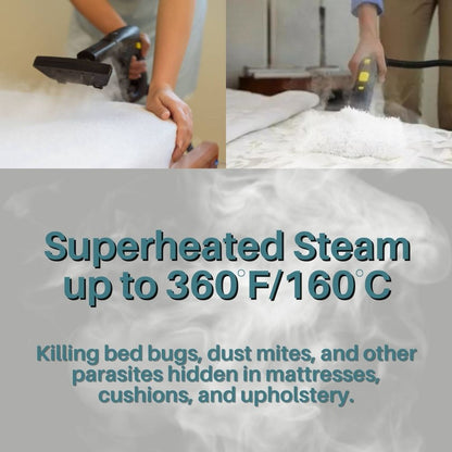 Powerful Bed Bug Steam Cleaner for Home Use