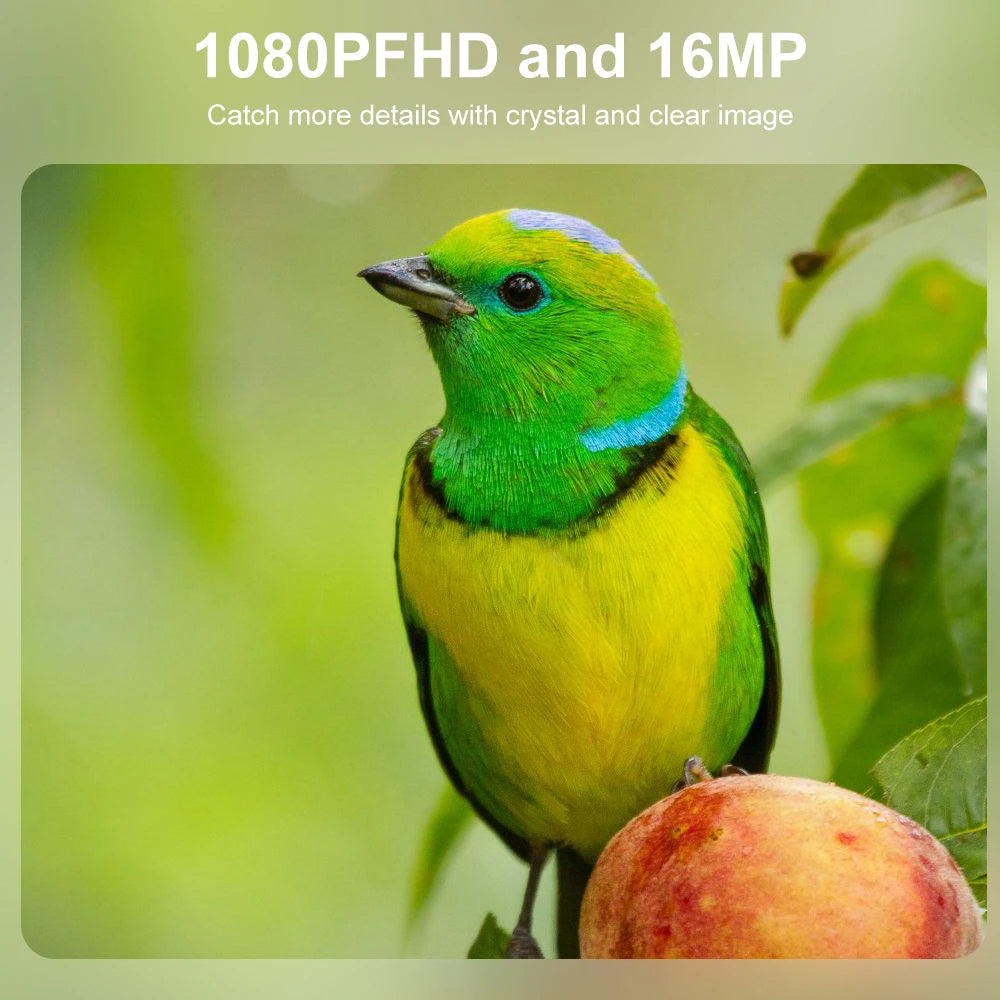 Motion Activated Dark Vision Game Camera