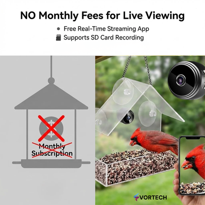 Clear Window Bird Feeder with Camera Mount