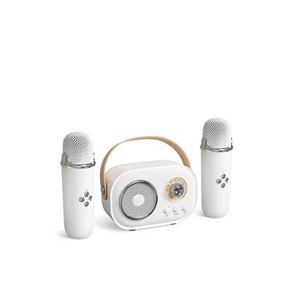 Portable Karaoke System with Bluetooth and Microphone