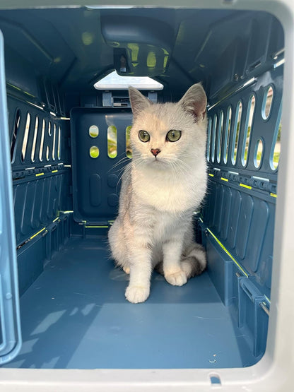 Portable Pet Travel Crate for Easy Safe Transport