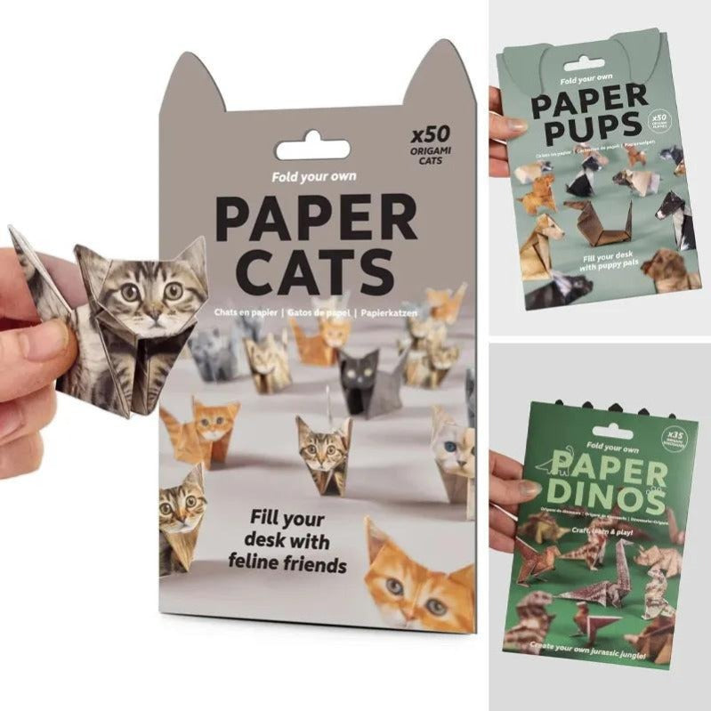 Fun Cat Paper Craft Kit