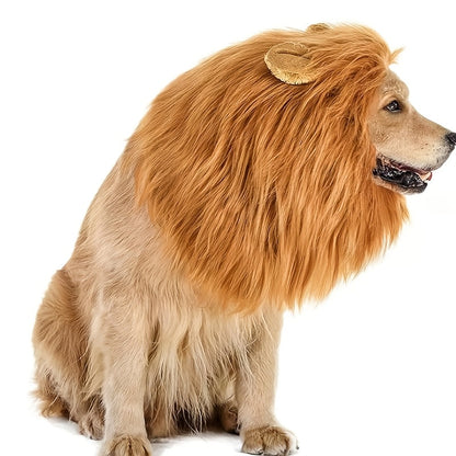 Funny Lion Pet Costume for Dogs