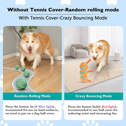 Fun Bouncy Dog Play Ball