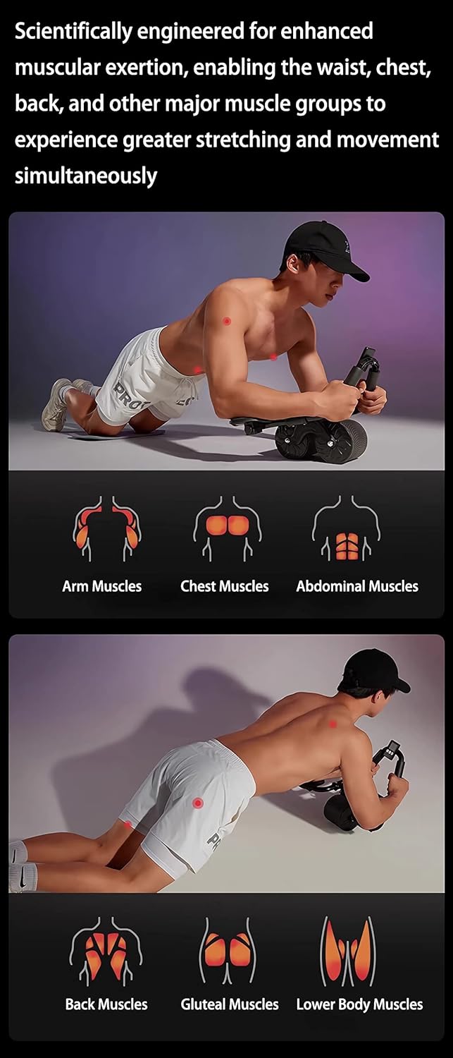 Home Gym Exercise Wheel