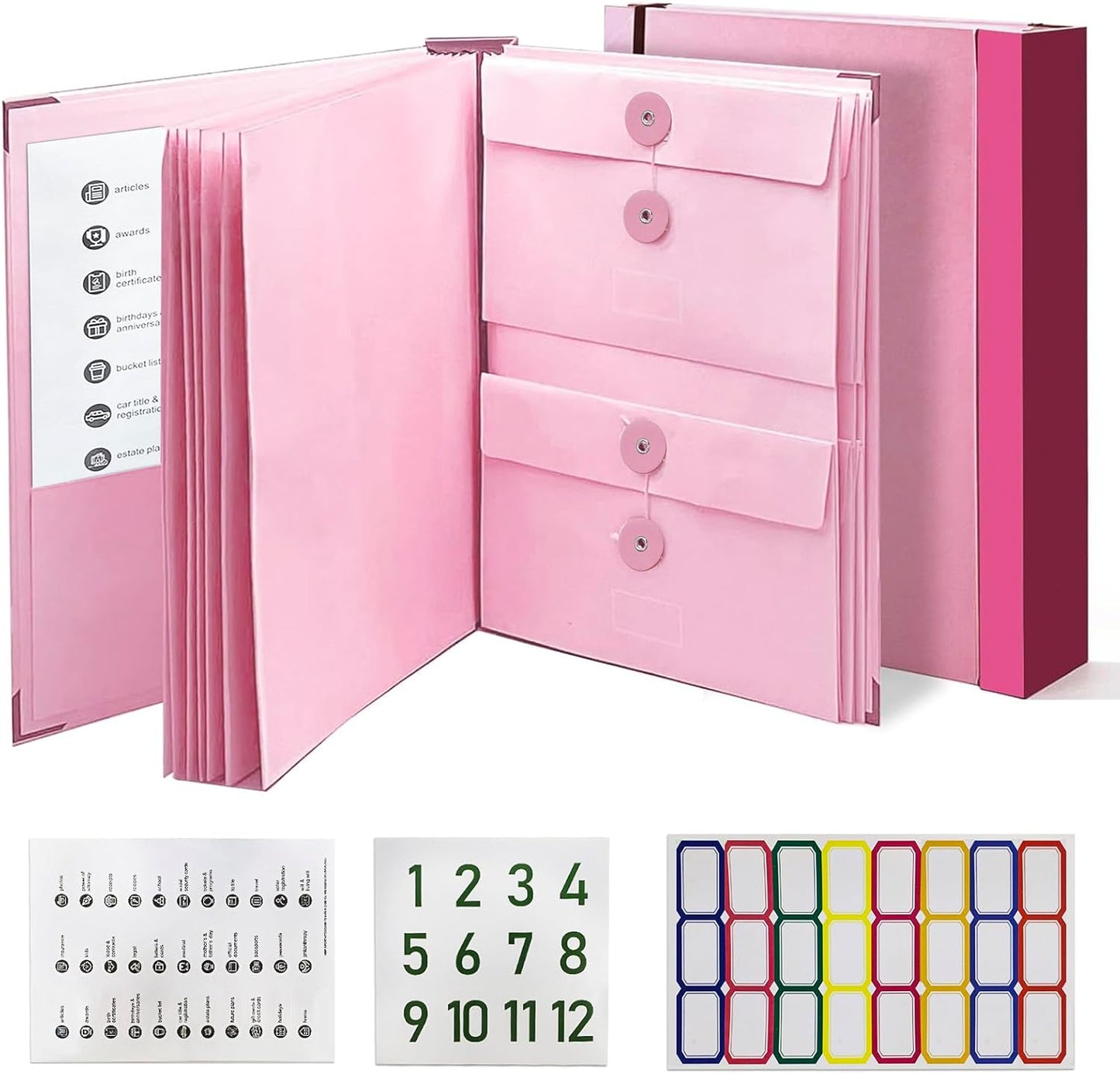Compact File Folder Organizer Case