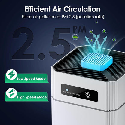 Powerful Home Air Cleaner for Big Rooms