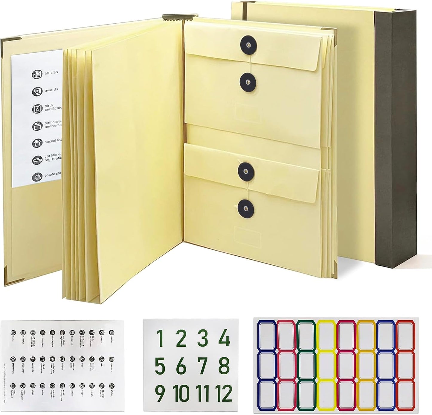 Compact File Folder Organizer Case