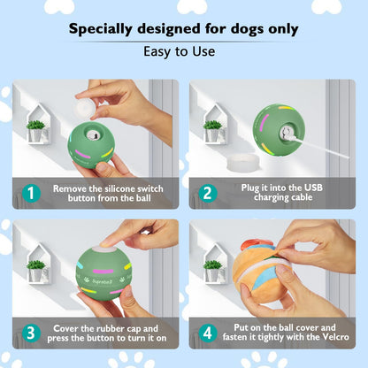 Fun Bouncy Dog Play Ball