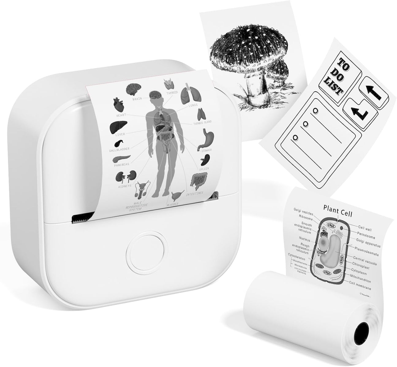 Compact Portable Photo Printer with Free Film Roll - Halri
