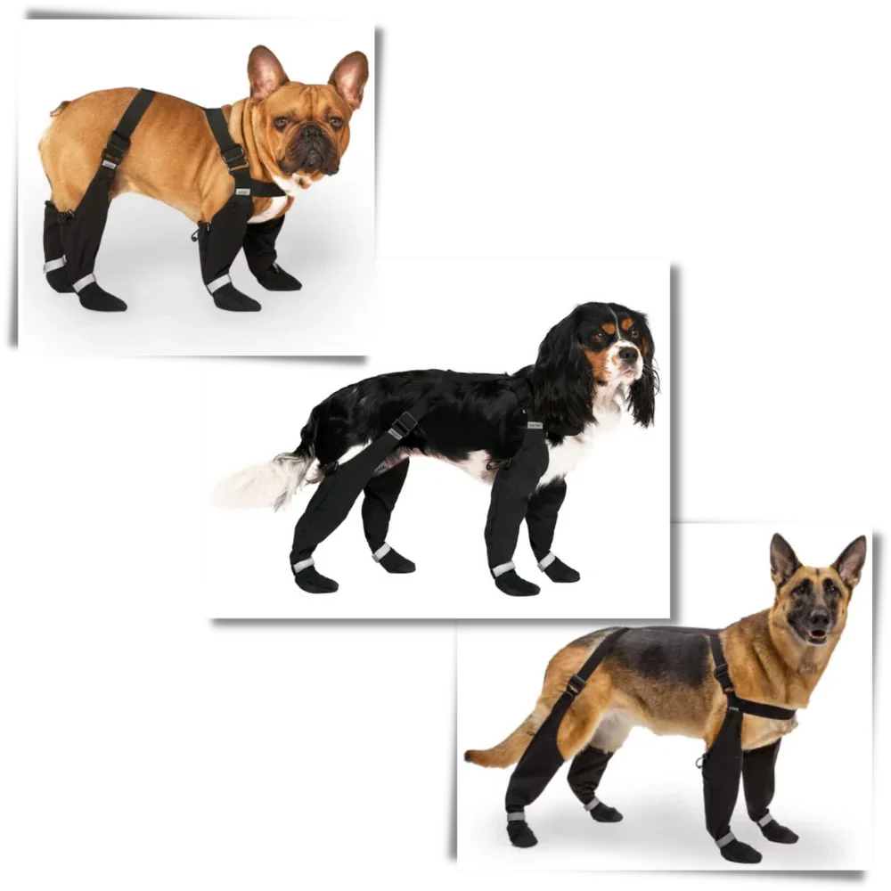 Waterproof Puppy Suspension Boots