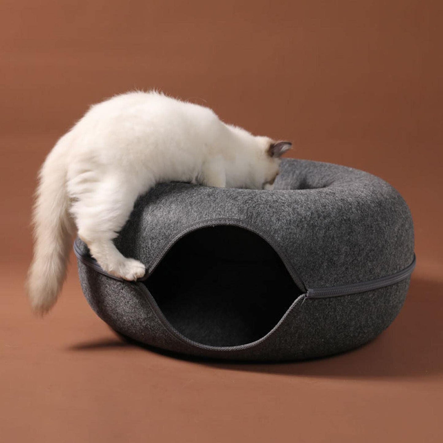 Fun Hidden Cat House