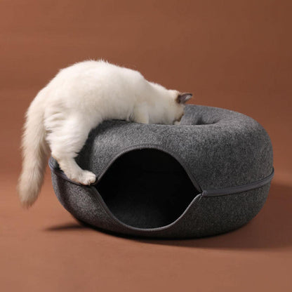 Fun Hidden Cat House