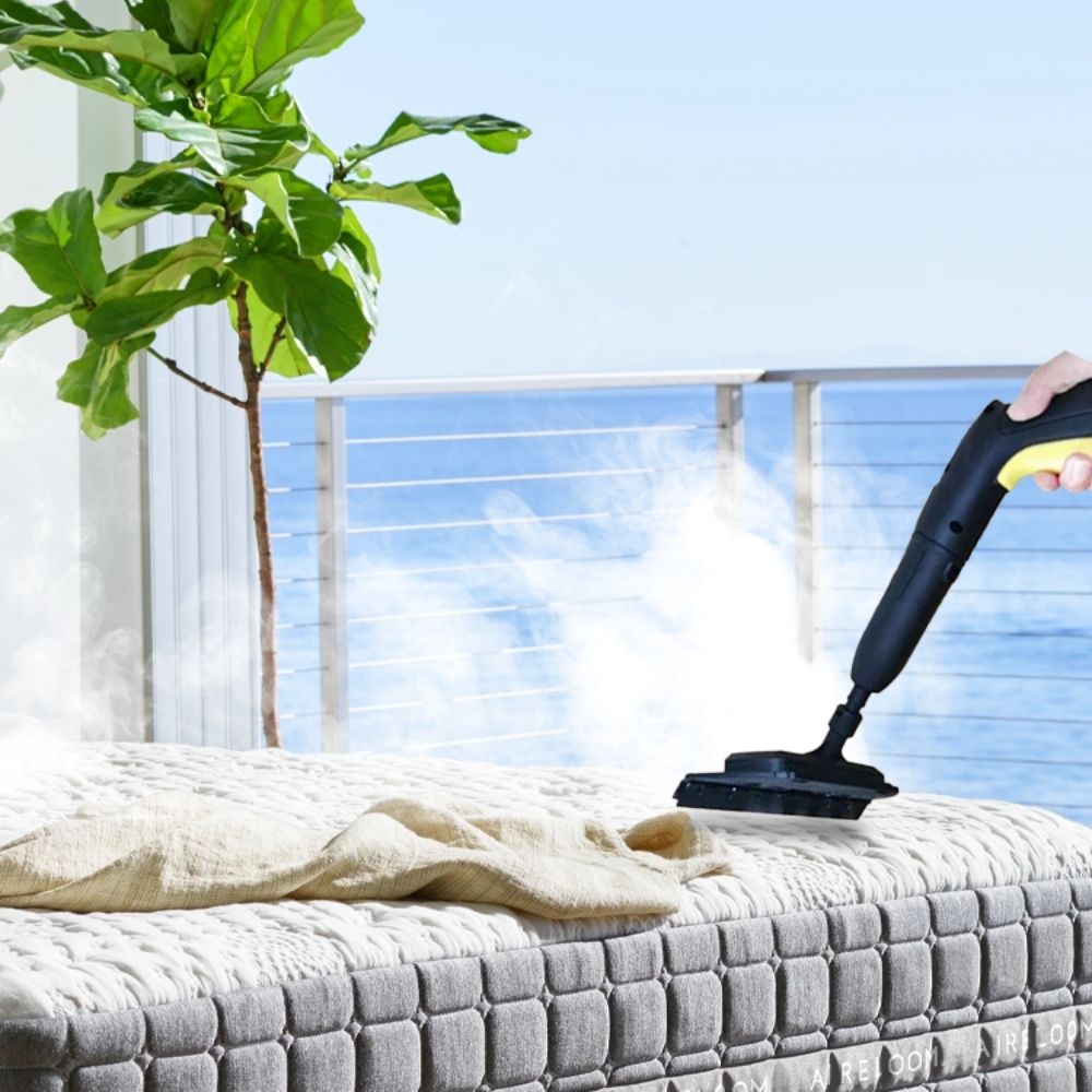 Powerful Bed Bug Steam Cleaner for Home Use
